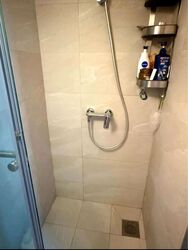 Yong An Park (D9), Condominium #624560571